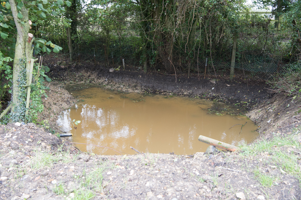 pond with some water